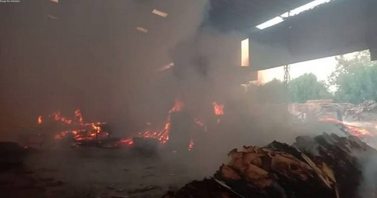 Fire breaks out in plywood factory in Gujarat's Kheda, doused off